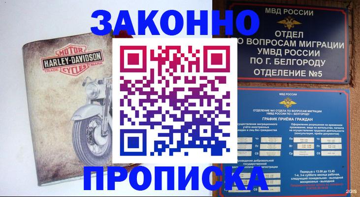 прописка для школы в Кувшиново